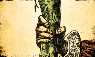 Tarot Travail